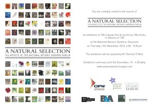 ANaturalSelection_Evite