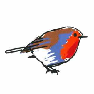 Bernadette Madden_Winter Robin_Screenprint